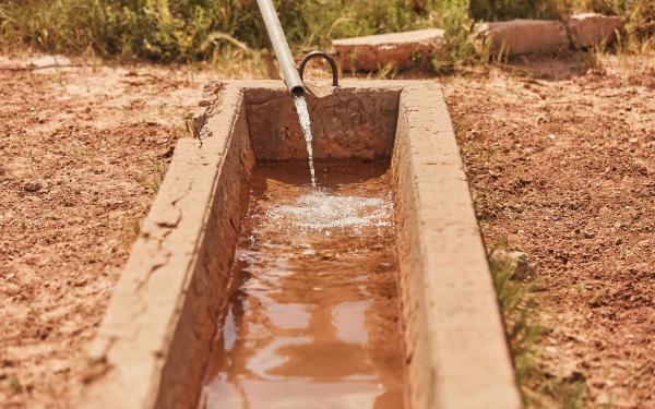 A man-made watering trough in reddish clay soil with water flowing into it through a pipe