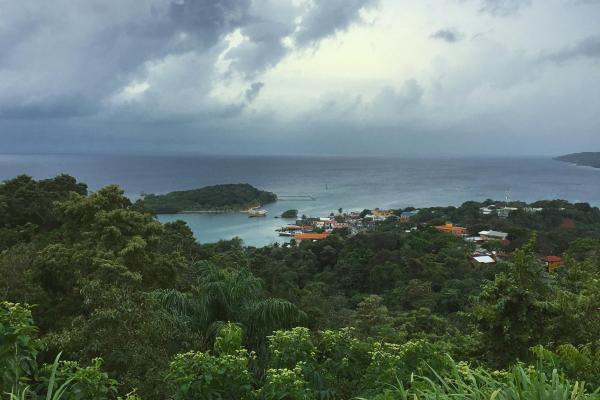 Scenic view from tree covered hills of a housing community near the ocean with overcast skies.