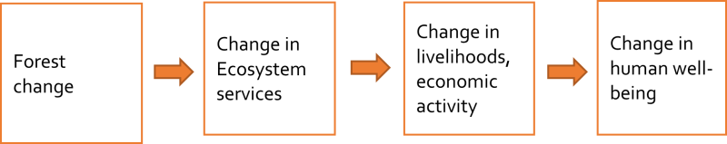 A diagram of 4 horizontal boxes with orange arrows in between and text written in each. 1s box text states Forest change, 2nd states Change in Ecosystem services, 3rd states Change in livelihoods, economic activity and 4th box states Change in human well-being
