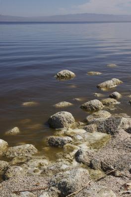 Rocky shore with murky waters with some haze and mountains in a distance under blue skies and light, white clouds.