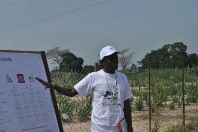 A man wearing a white shirt and baseball cap with file in one hand points to a large white poster with data while standing in front of a tall wire fence. Behind him is a in a crop field with short crops and trees in a distance under blue skies.