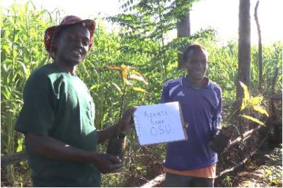 Two Black men standing in front of a fence and tall green crops with a sign held between them which reads "asante sana OSU"