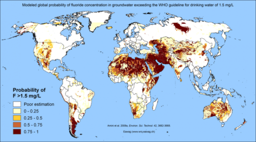 Map of the modeled global probabilty of flouride concentration in groundwater exceeding World Health Organization guidelines. Northern Africa and parts of the Middle East are the most red