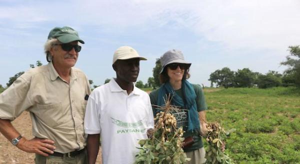 2 men and a woman wearing hats standing in a green field posing for the image. man in middle and woman to his left are holding plants upside down with roots facing up. 