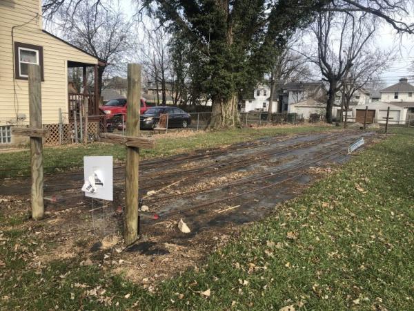 a dirt patch like a drive blocked off with a couple wood posts in the lawn on the side of a house with tan siding. chain link fence and 2 cars int he drive and a large tree next to the cars