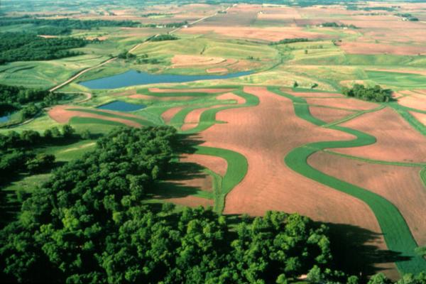 Green and brown fields bordered by trees with ponds dotted about and a road cutting through