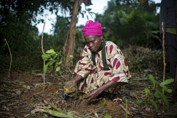 A black women wearing colorful patterns knealing in a dark forest. She is pulling a plant out of the ground by its roots.