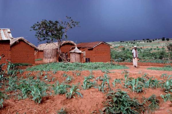 A farm with red soil. Behind the farm are reb-brick buildings with straw and tin roofs. The sky is stormy and gray