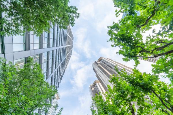 Skyscrapers viewed from below with blue skies and trees overhead