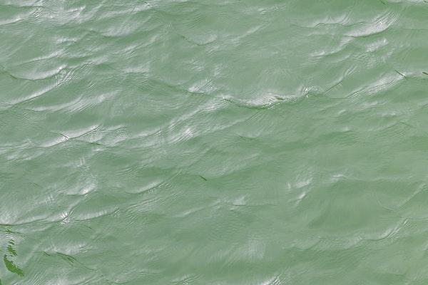 green calm open water with light waves