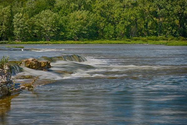 A wide, gentle-looking river with a lush forest on its far bank