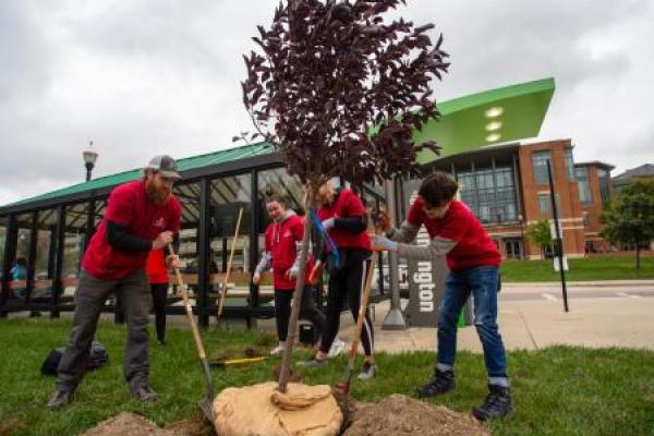 Students in red shirts plant a tree on a cloudy day 