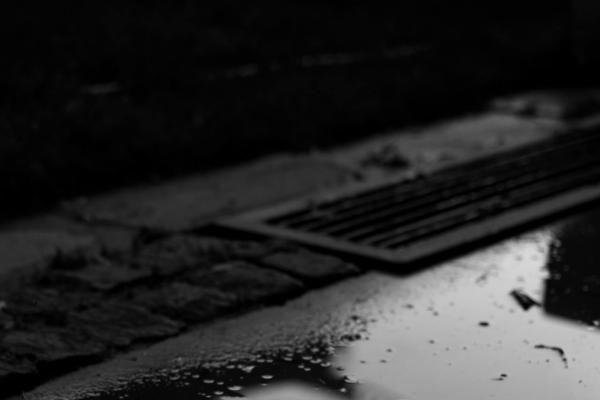 Black and white image of wet surface with leaf on ground and storm drain grill nearby.