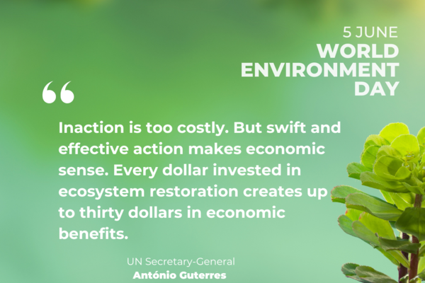 A plant in soil. Text 5 June World Environment Day "We are Generation Restoration. Together, let's build a sustainable future for land and for humanity." UN Secretary-General Antonio Guterres We are #GenerationRestoration and logos at the end