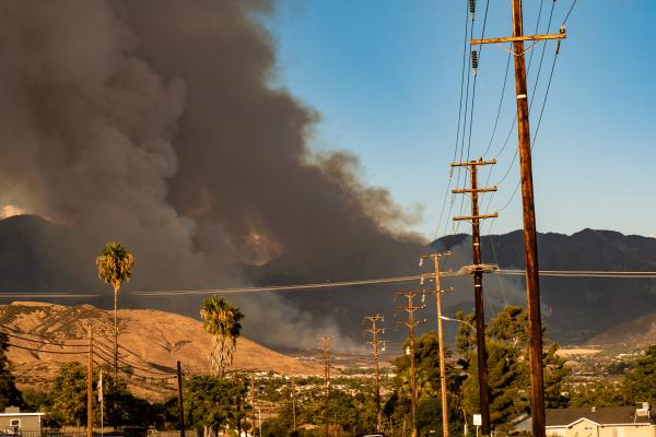 Smoke from a wildfire rises over a mountain landscape, with power lines and palm trees visible in the foreground.