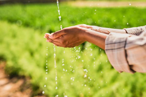 Person catching water droplets in their hands with a green field in the background.