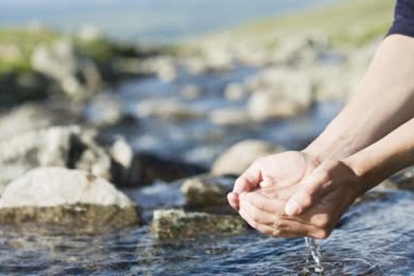 Person cupping fresh water from a clear stream outdoors.