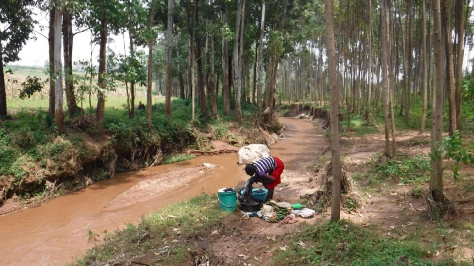 A black person bent over a few buckets a a pile of laundry. They are standing next to a dirt brown river in the middle of a shady forest.